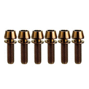 6 M6x20mm bronze titanium bolts on a white background