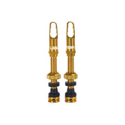 Gold airtech valves on a white background