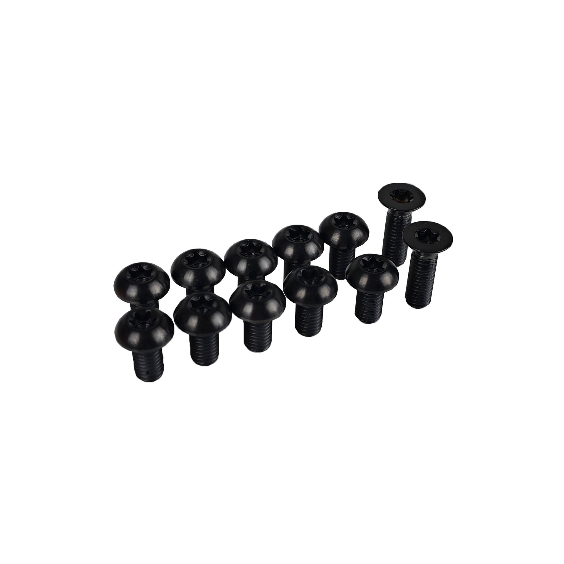 12 black rotor bolts for a levo setup on a white background