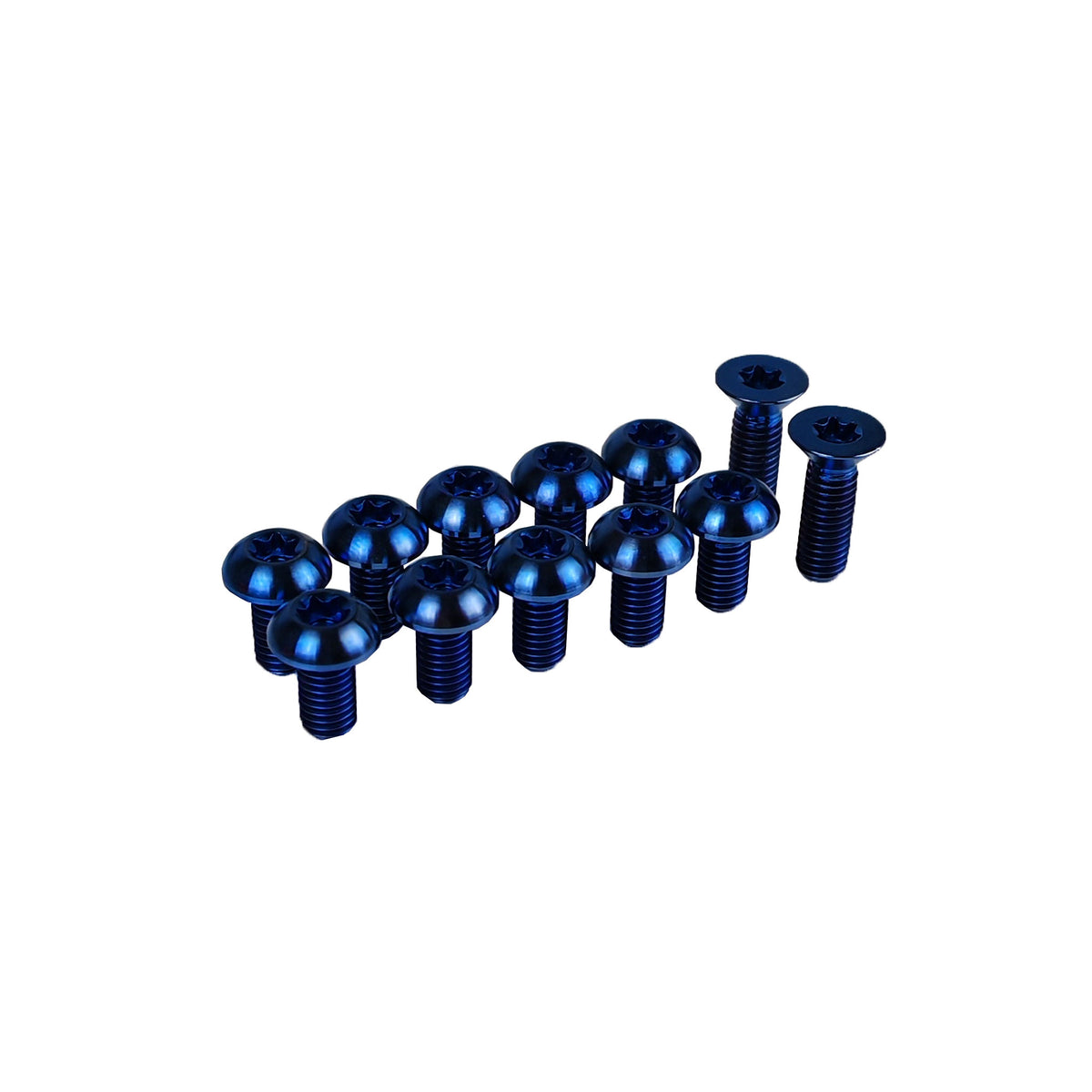 Blue Bolts Rotor 12 Piece Titanium Rotor Bolt Upgrade Kit for Specialized Levo / Kenevo