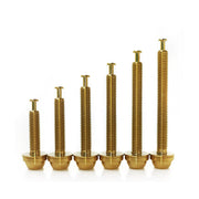 6 different gold sized flatmount titanium bolts on a white background
