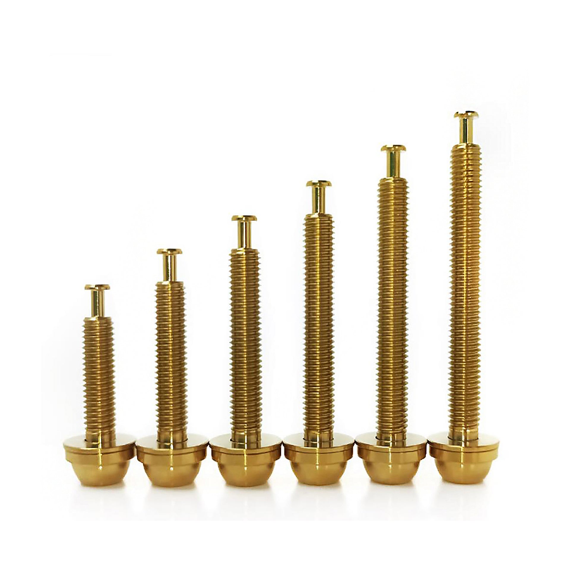 6 different gold sized flatmount titanium bolts on a white background
