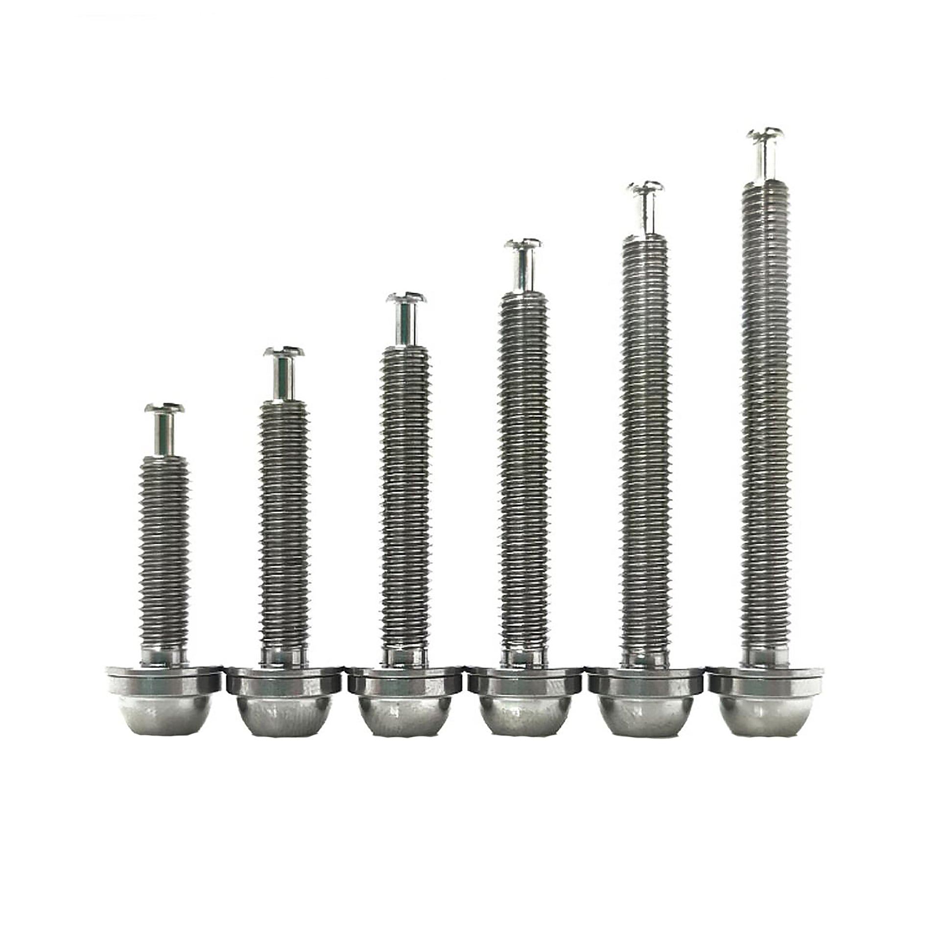 6 different raw sized flatmount titanium bolts on a white background