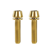 2 gold m6x25 taperhead  titanium bolts on a white background