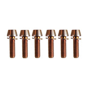Gravity stem 2022 titanium Bronze bolts in sizes M6x20mm on a white background