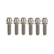 6 raw titanium bolts for gravity stem on a white background