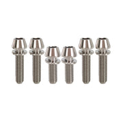 6 raw titanium bolts for AC / XC stem on a white background