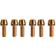 6 m5x15mm gold titanium bolts on a white background