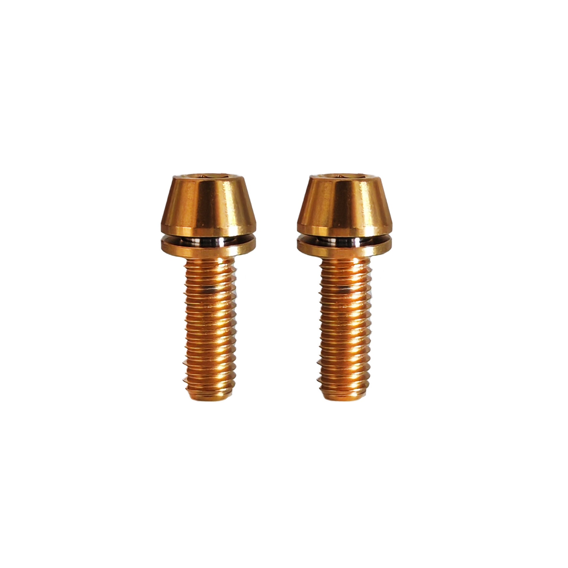 2 m5x15mm gold  titanium bolts on a white background