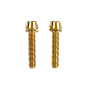 x2 m5x25 gold titanium bolts on a white background