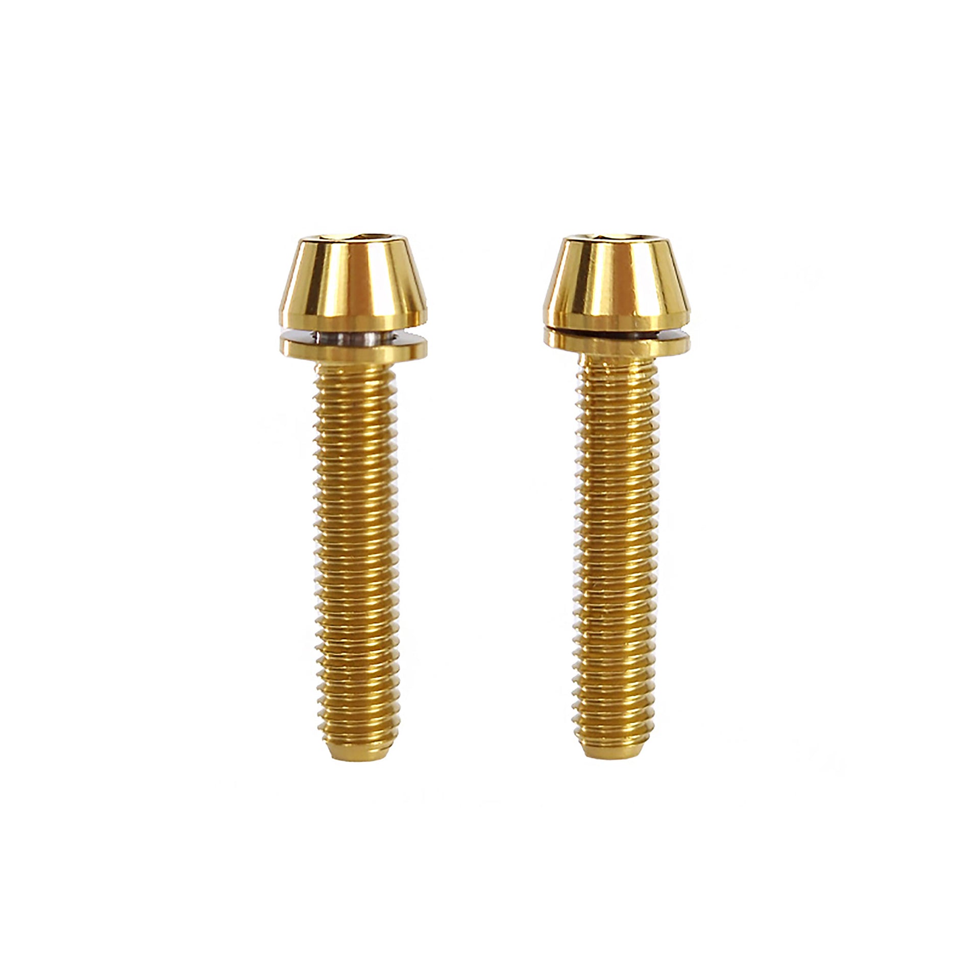 x2 m5x25 gold titanium bolts on a white background