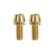 2 gold m6x15 taperhead titanium bolts on a white background