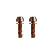 two m6x20mm titanium bronze bolts on a white background
