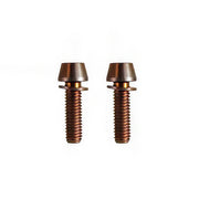2 bronze m6x20 taperhead titanium bolts on a white background