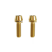 2 gold m6x20 taperhead titanium bolts on a white background
