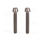 2 raw m6x38 titanium bolts with no washer on a white background