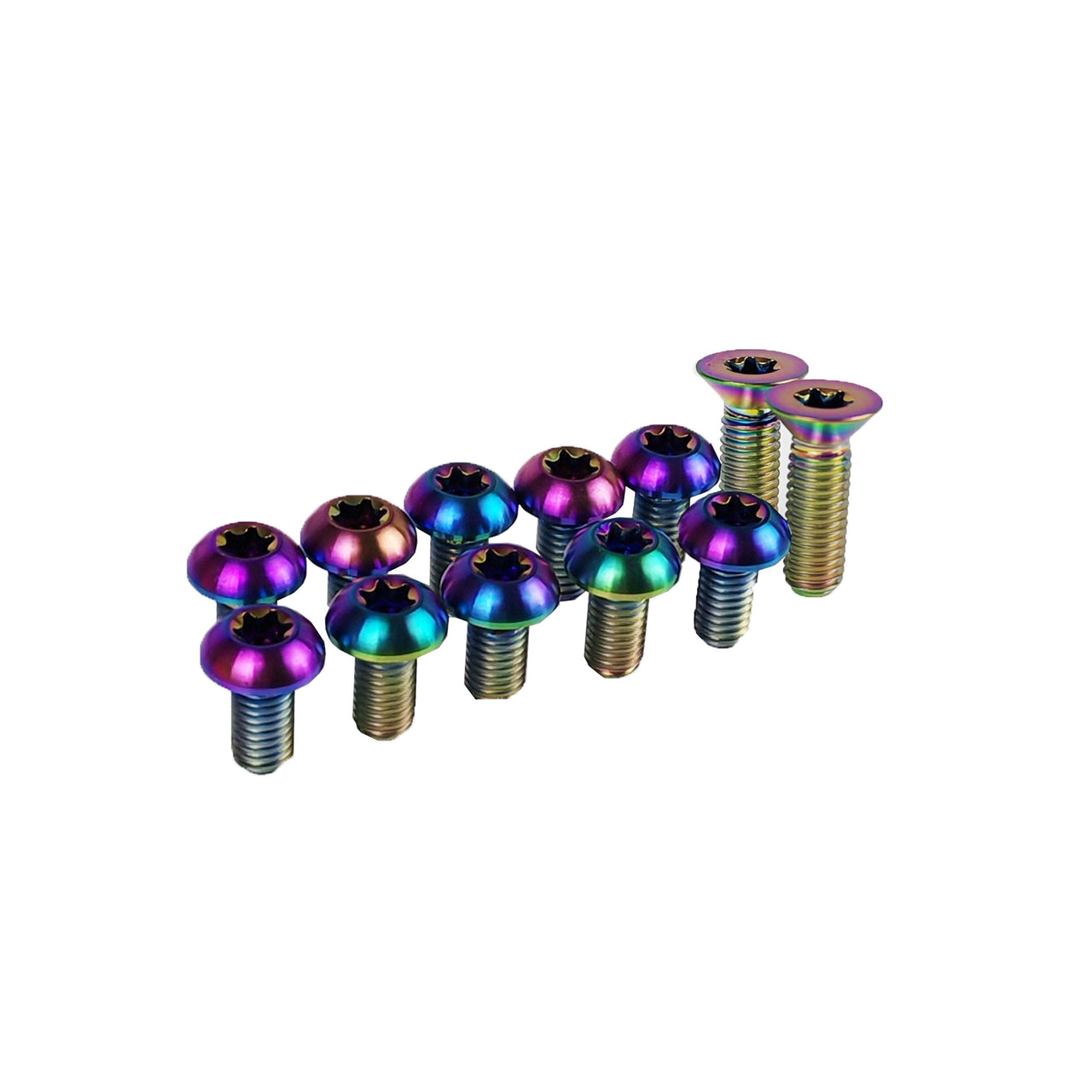 12 oil slick rotor bolts for a levo set up on a white background