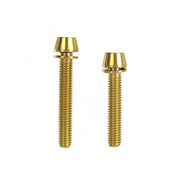 2 gold post mount adapter taperhead titanium bolts on a white background