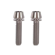 2 raw m6x25 taperhead  titanium bolts on a white background