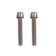 2 raw m6x38mm taperhead  titanium bolts on a white background