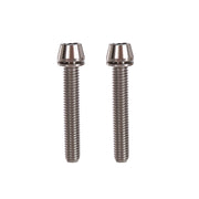 2 raw m6x42 taperhead  titanium bolts on a white background