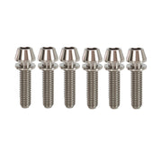 6 raw m5x20mm taperhead titanium bolts on a white background